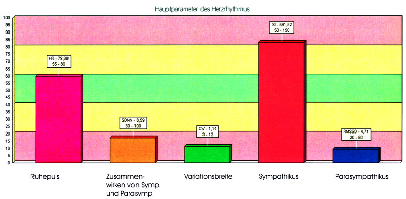 VNS-Analyse